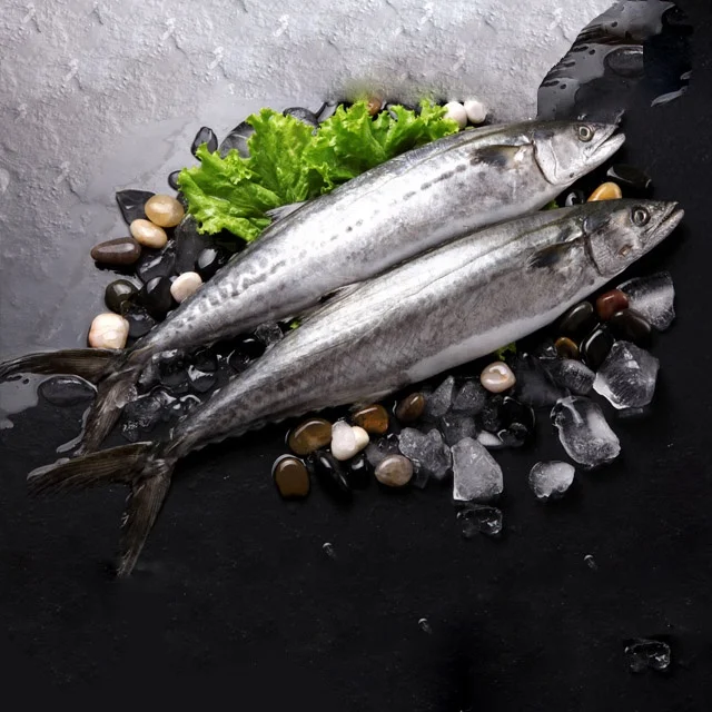 
frozen fresh catch 300-400g big mackerel 