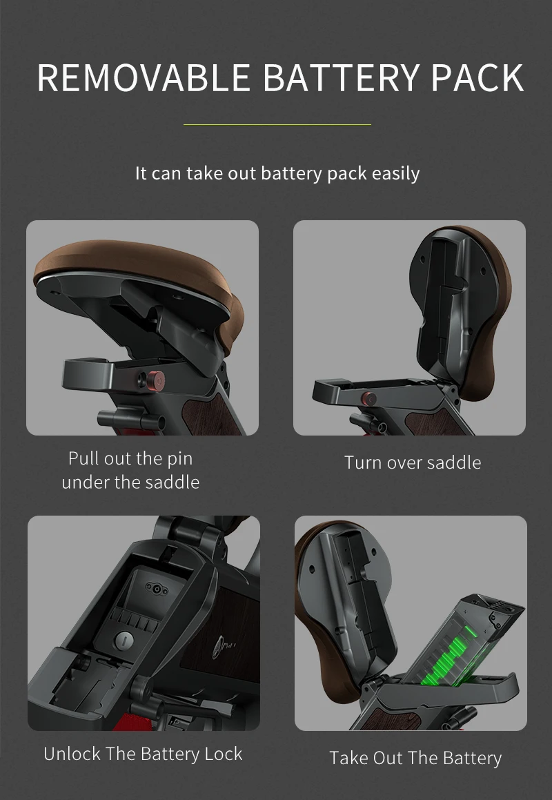 Ready to Ship Elekttische Scooter Max Speed 25KM Max Range 45KM Removable Battery Controller E Biciletta Bike