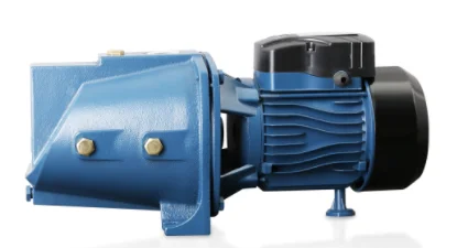 RUIQI Small Pump Machine JSW12M Series Self-Priming Bombas Mini Electric Motor Water Pump Pompe 1HP