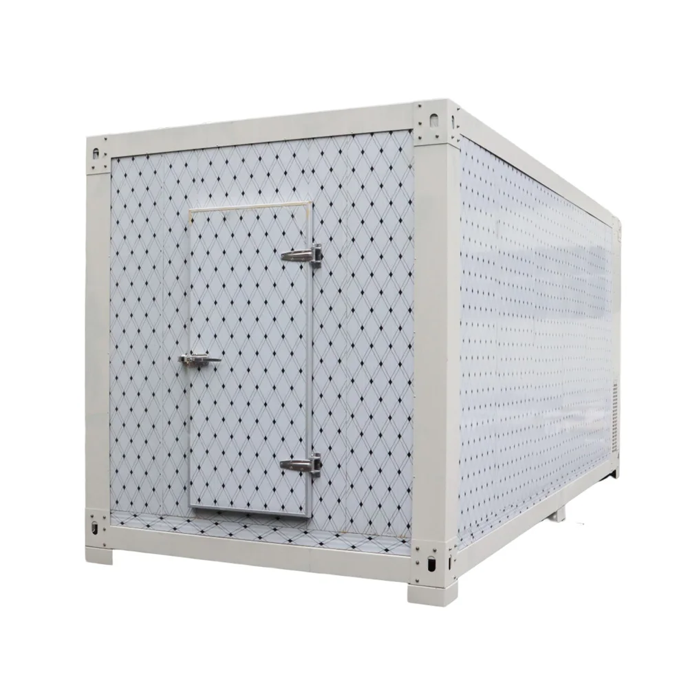 40 Feet Reefer Container Temperature Control Cold Storage Room Refrigeration Units Walk in Freezer