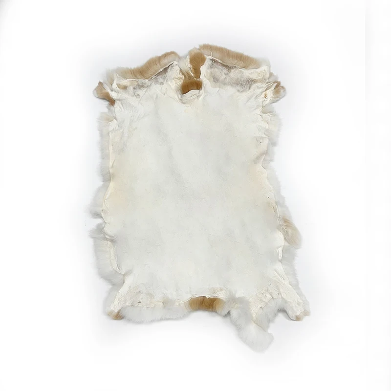 HY Rex Soft Thick Coat Dyed Color Fur Genuine Chinese Rabbit Skin Wight Natural Carton Real Spotted Pink Raw Rabbit Fur Trade