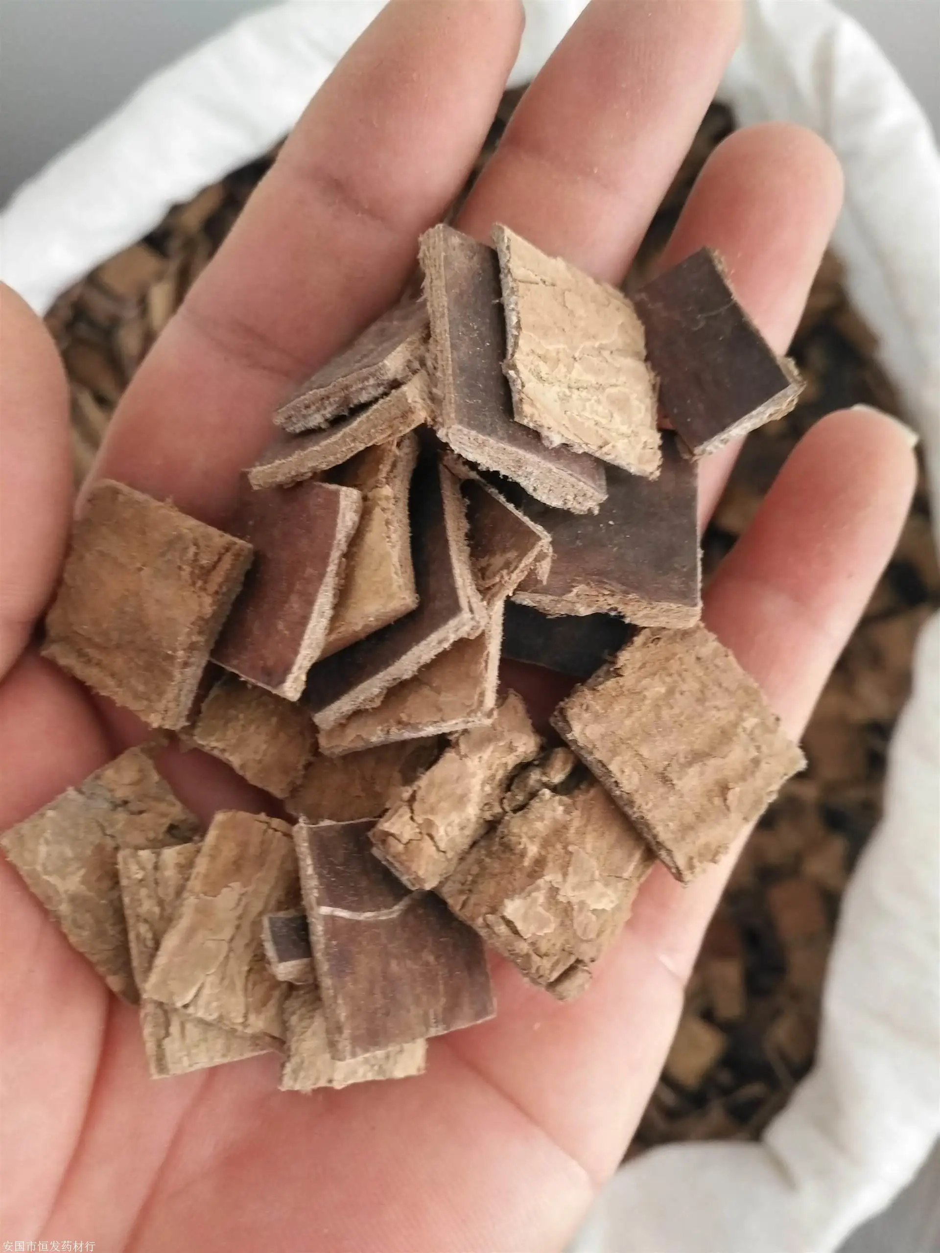 Wholesale Factory High Quality Popular Chinese Herb Tree Bark Chinese Medicine Dried Eucommia Ulmoides
