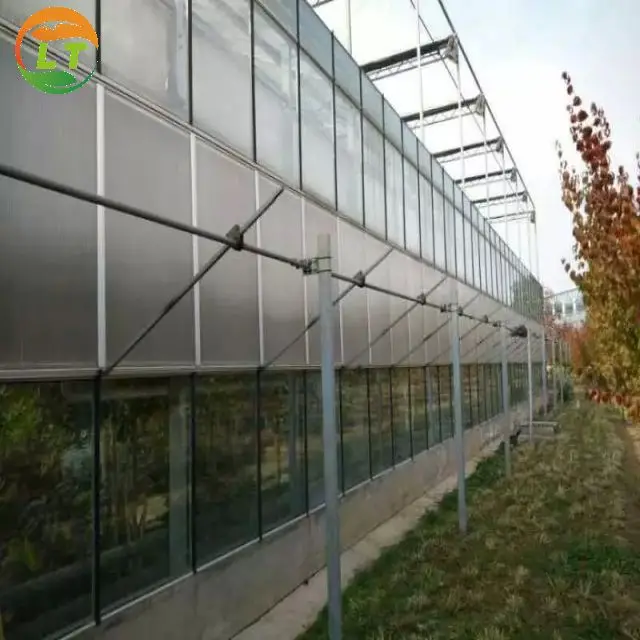 European quality economical polycarbonate greenhouse with panels for