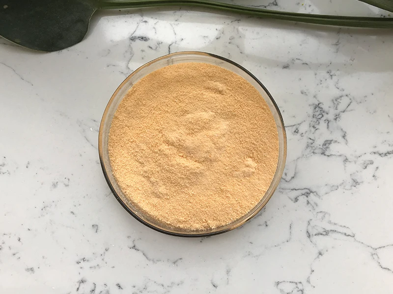 Fresh Dried Mango Powder Organic Mango Flavour Juice Powder