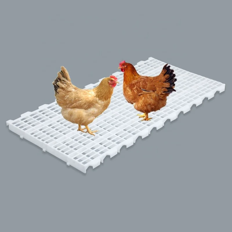 Durable sturdy chemical Resistant 1000*500 mm Poultry chicken Plastic Slat Floor For Chicken Coop