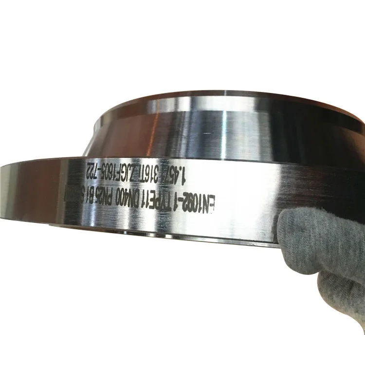 150 300 600 316L Welding Neck WN RF Forged din wnrf Flange