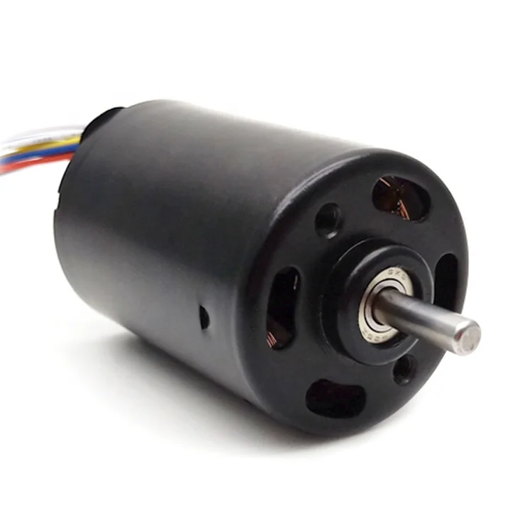 High Torque Custom Manufacturer Micro 24mm 28mm 30mm 36mm 42mm OEM Brushless Dc Electric Motor 12V 24V Bldc Motor