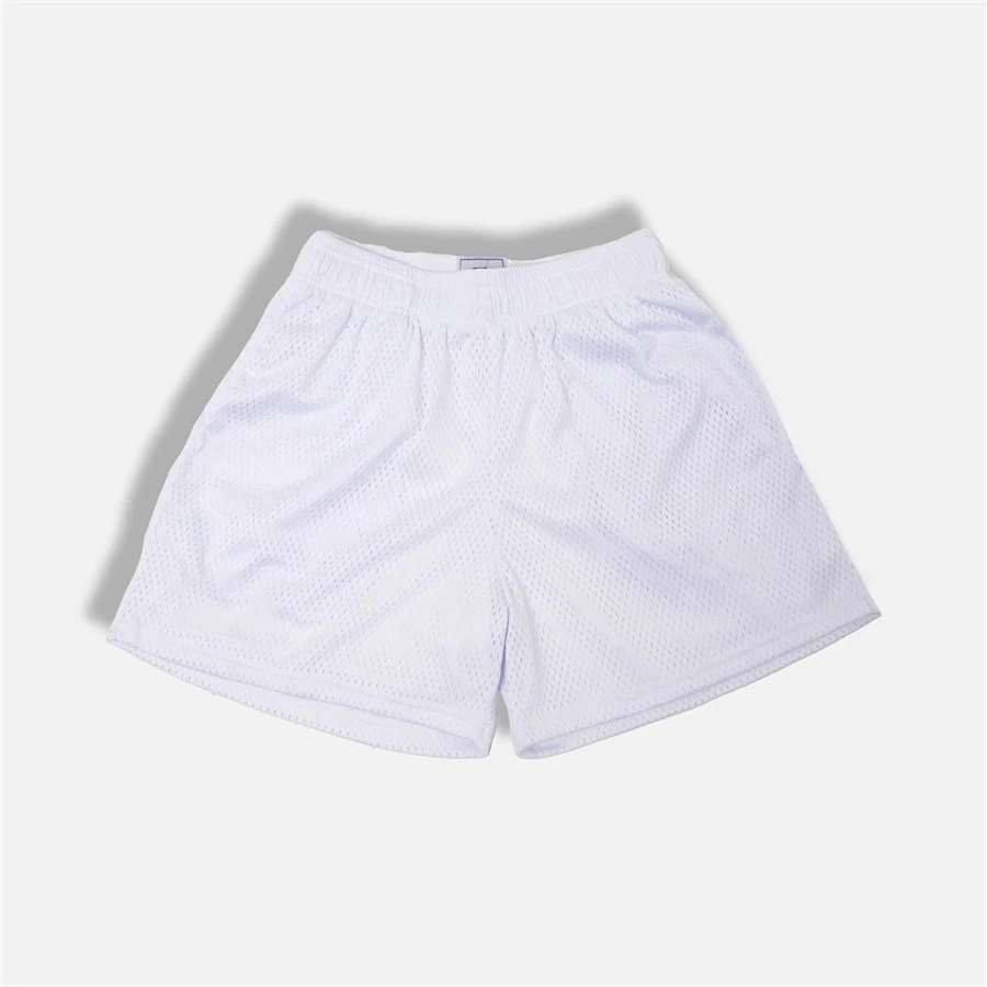 Custom Free Samples Design Quick Dry Mens Mesh Beach Shorts 20 Colors Solid Swim Trunks Fashion New Styles Mens Swim Shorts