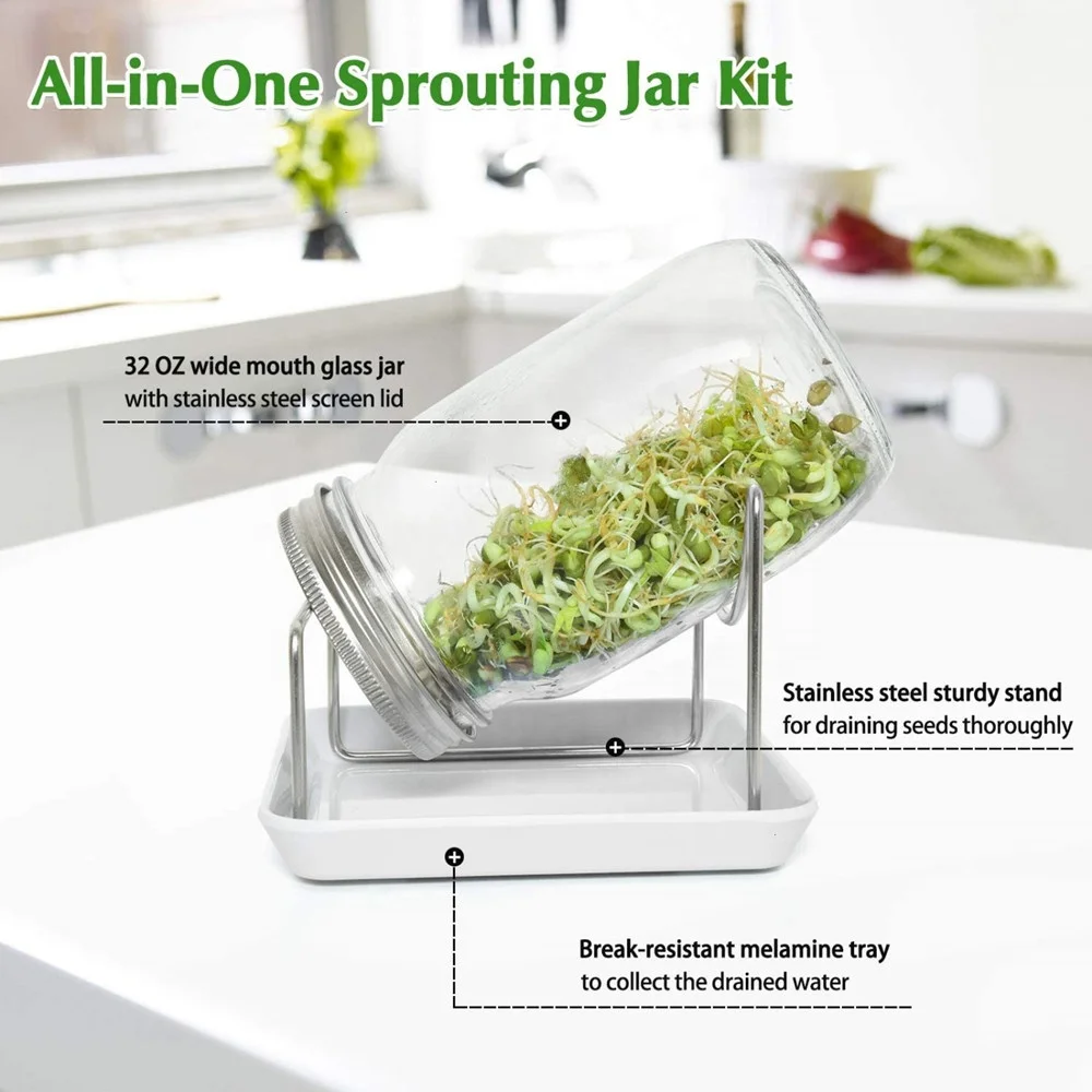 Wide Mouth Sprouting Jars with Screen Lids Stands and Trays