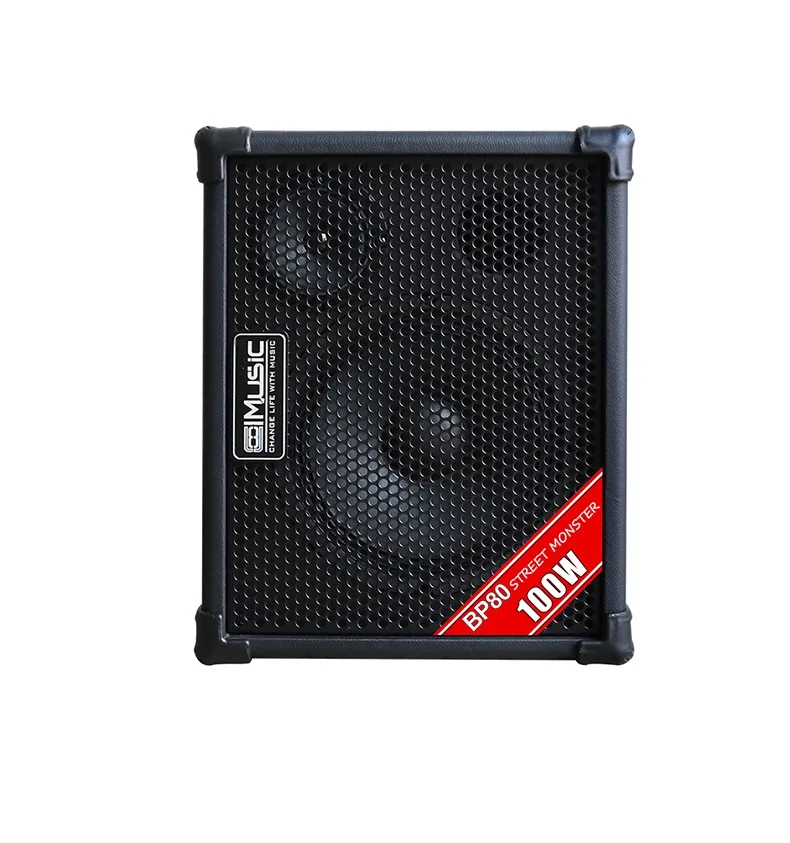 COOLMUSIC 100W Rechargeable Outdoor Amplifier Vocal Karaoke Speaker Acoustic Guitar Amplifier