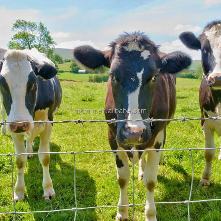 High quality field fence on farm for goat and cattle using hot sale hog sheep and goat field fence