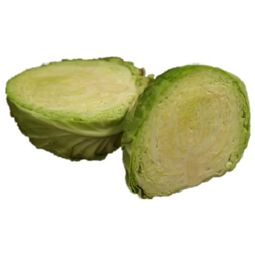 New Listing High Quality in Bulk Cabbage Patch with HCCP Certification