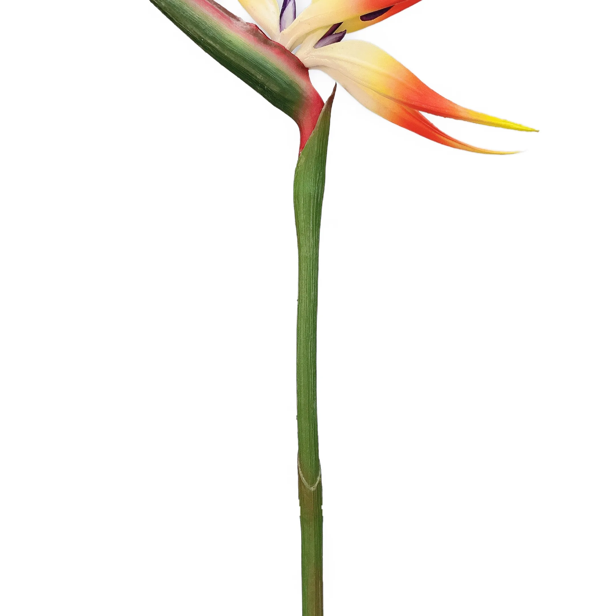 2021-01-30 212903.jpg