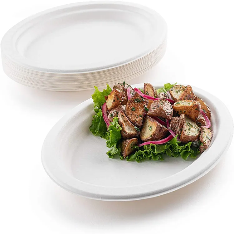 Customized Compostable Biodegradable Disposable sugarcane bagasse oval tray plates