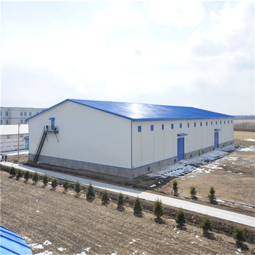 Steel Frame Industrial Building Design Heavy Duty Structure Fabrication Construction Kits Steel Warehouse