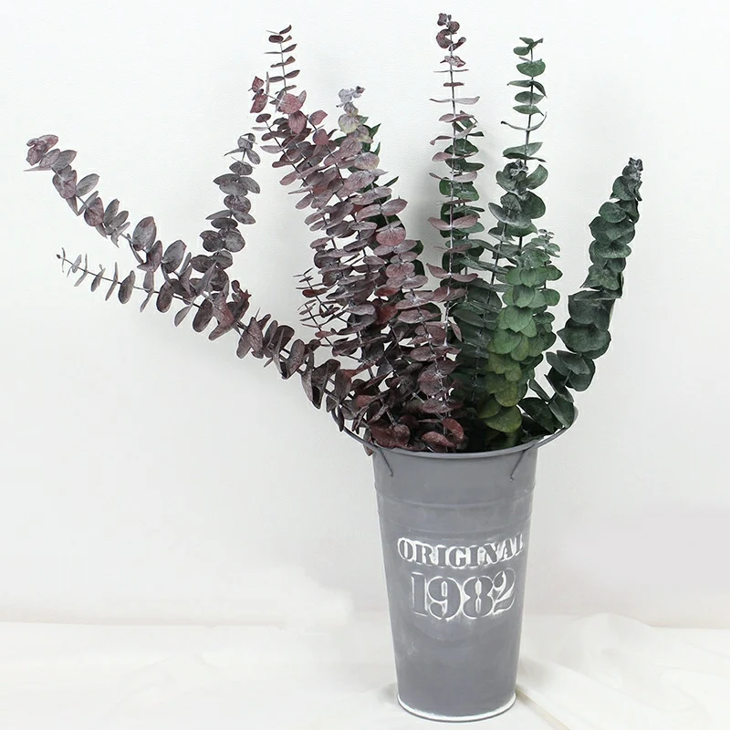2022 Hot Selling Natural  Eucalyptus Leaves Dried Eucalyptus Leaves Eucalyptus Leaf for Decoration