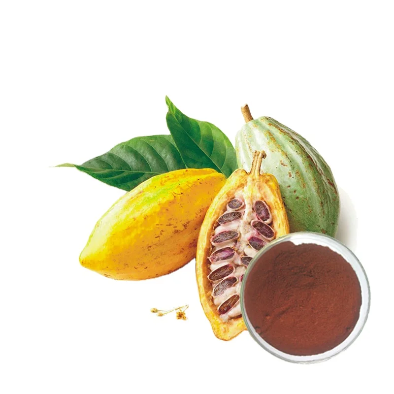 Factory supply high Purity Theobroma 100% Cacao Raw Cocoa Powder for health food