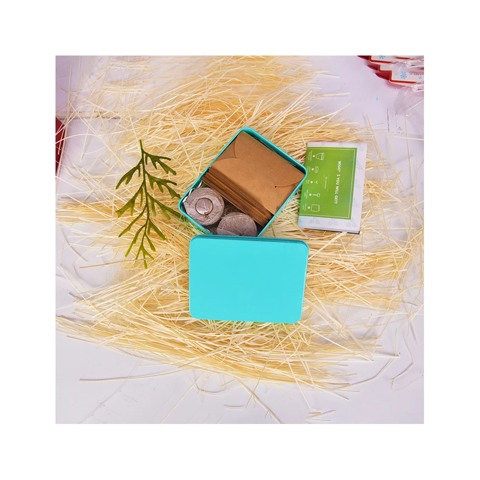 Different Color Iron Box Choose Unique Christmas Gift Plants Vegetables Bonsai Growing Kit for Indoor Home Decoration