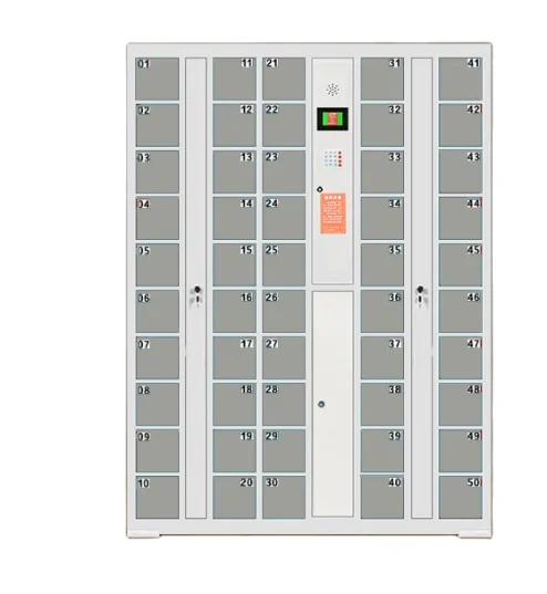 Grey Colors Smart Electrical Password Storage Locker Accept Customized Colors and Size