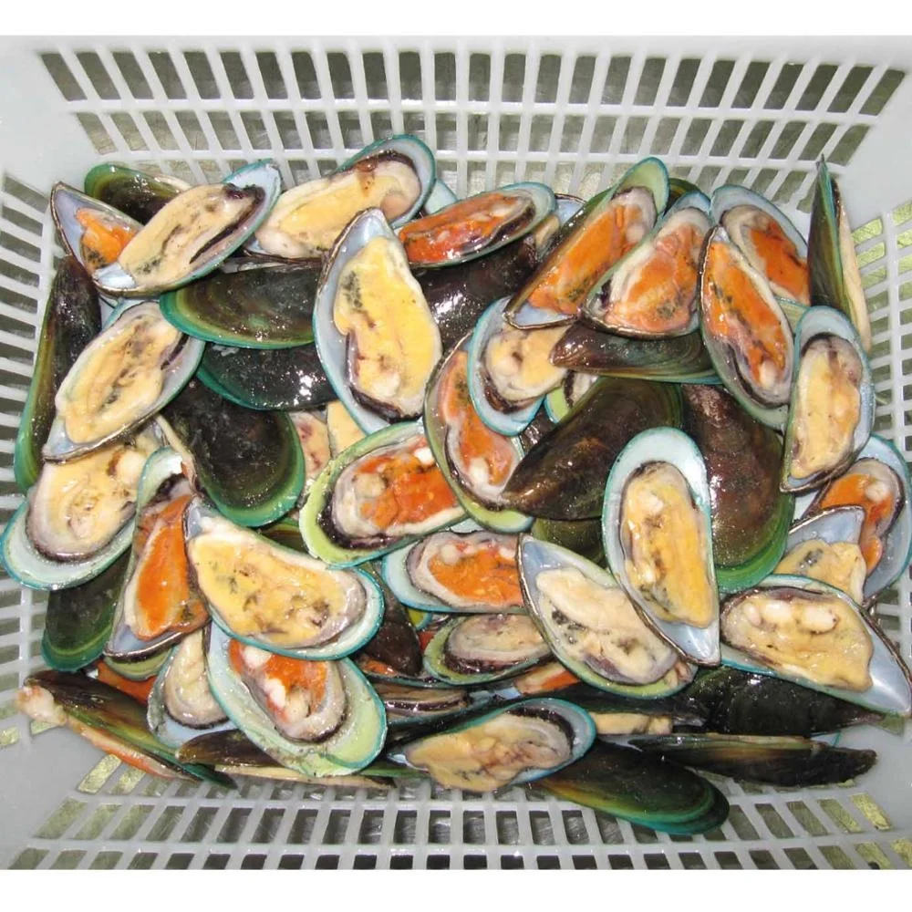 Good Quality Hot Sale Frozen Half Shell Green Mussel