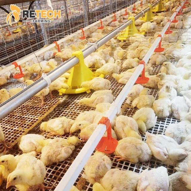 Philippines new design automatic chain-type harvesting broiler raising equipment