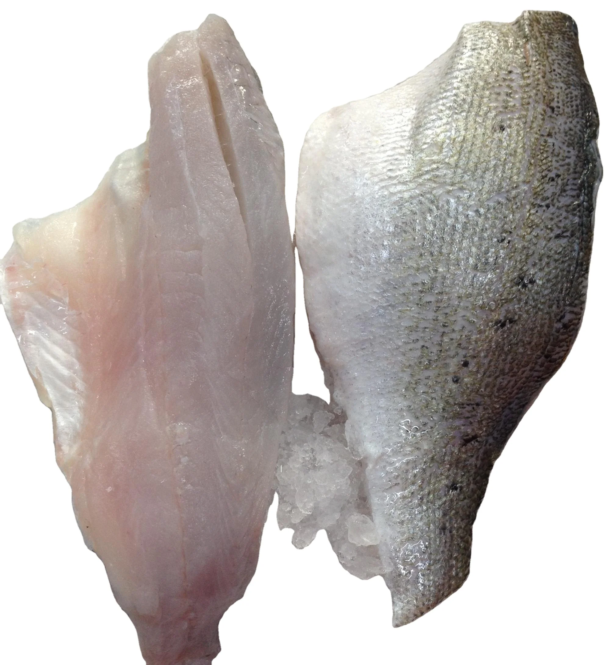 Frozen  Fish whole round for sale  Sea Bass