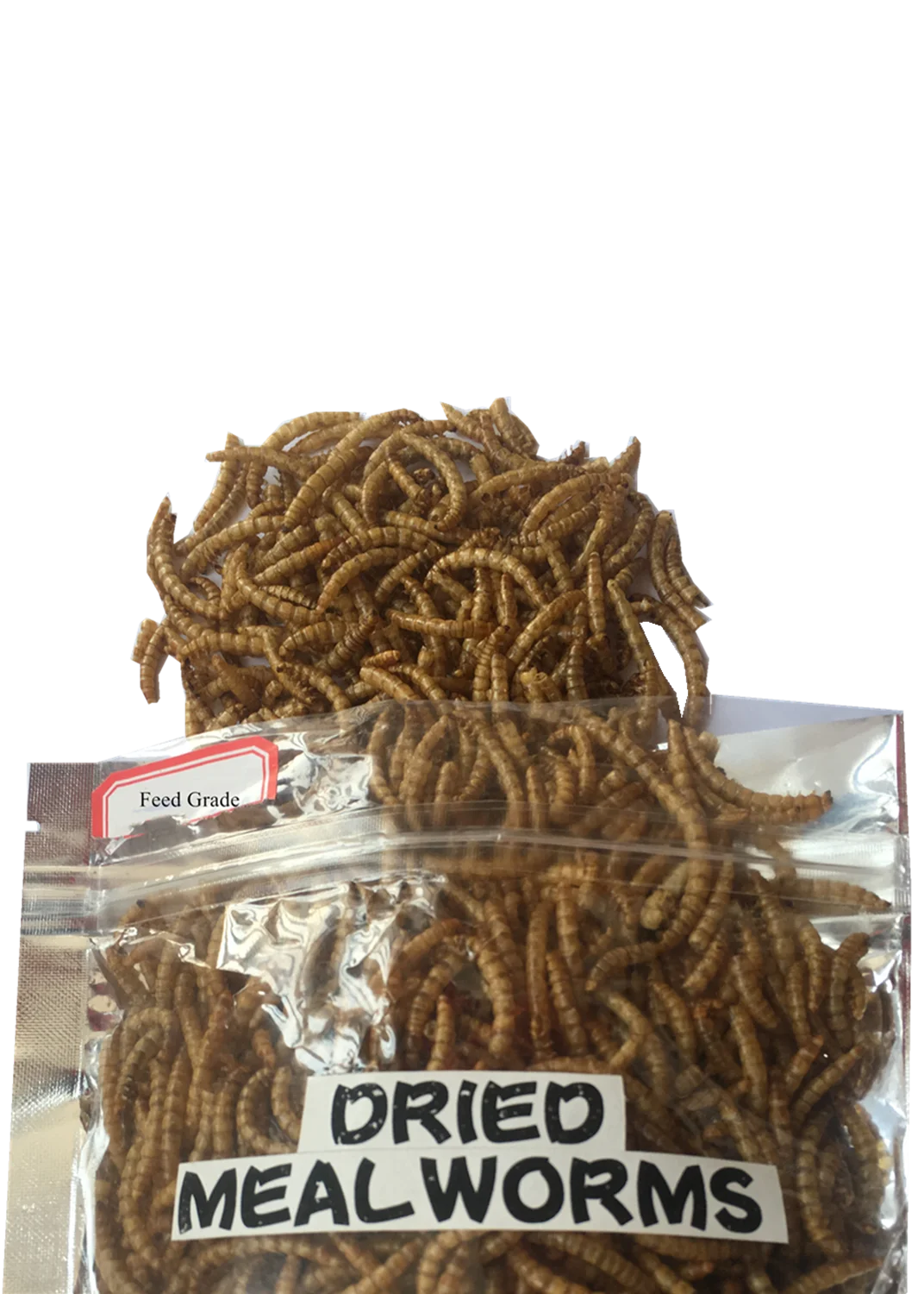 High protein dried mealworm insect for parrot bird food