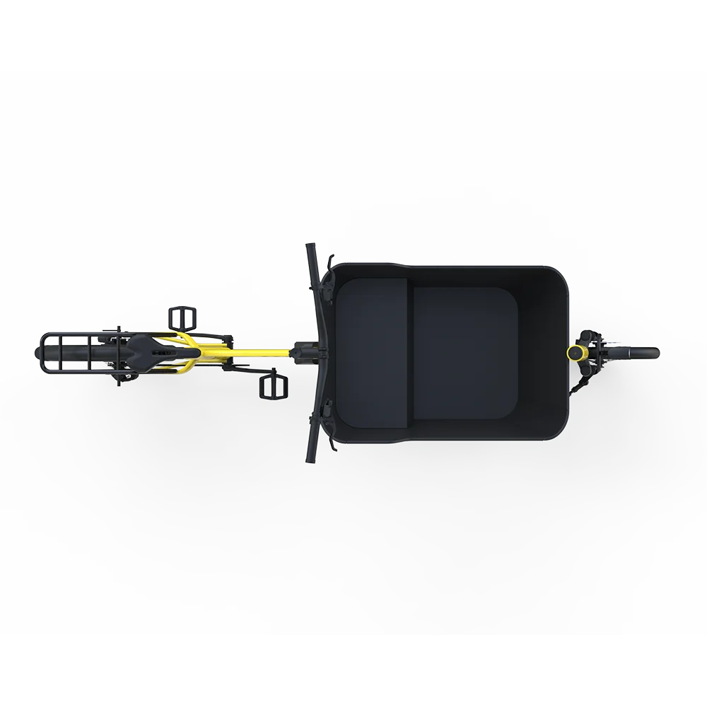 New design cargo ebike long range battery cargo e bike cargo bicycle electric bike e-cargo family e bicycle for delivery