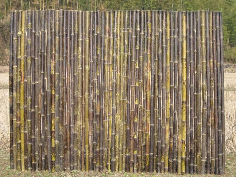 Spotted Roll Fences !! Special !!! ZY-2009 Tiger Bamboo Garden Fence Panels 3 Foot Heat Treated Pressure Treated Wood Type
