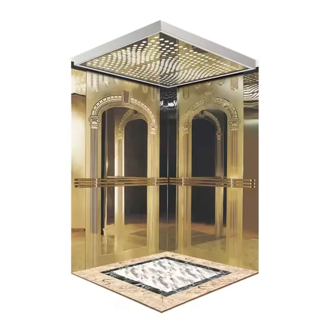 Customized differentiated price automatic building office passenger elevator for 4-6 person