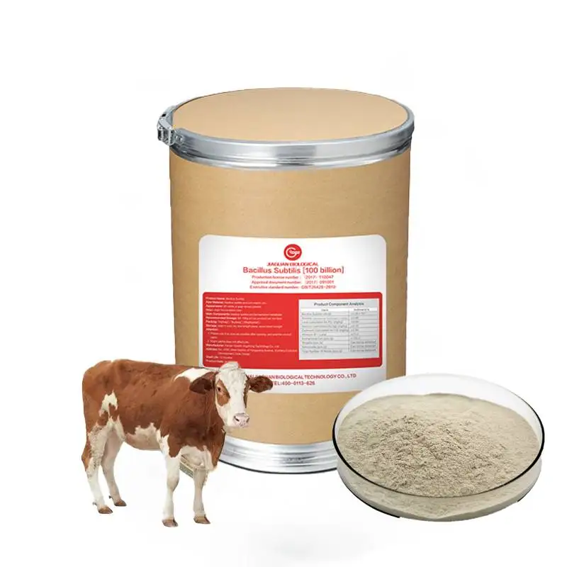 OEM Factory R&D Bacillus Subtilis Cattle Feed Bset Bacillus Subtilis Fermentation For Feed Additives For Cow
