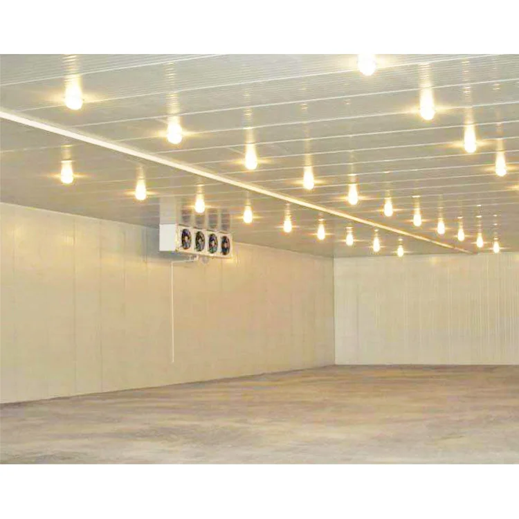 
onion cold room fresh cold storage cooler cold project Industrial refrigerator freezer cooling system 