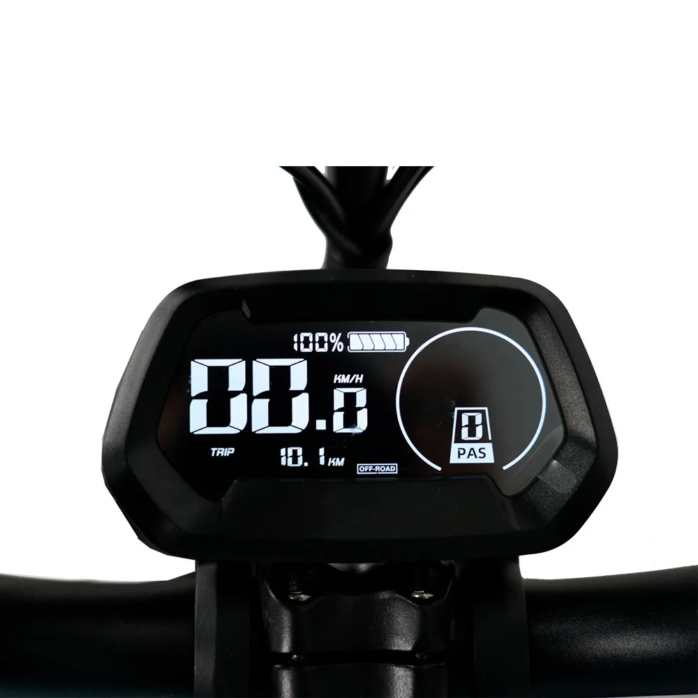 Long tail Cargo Bike Rear Hub Motor Mini Bike Electric Fat Tire Folding Electric Bike