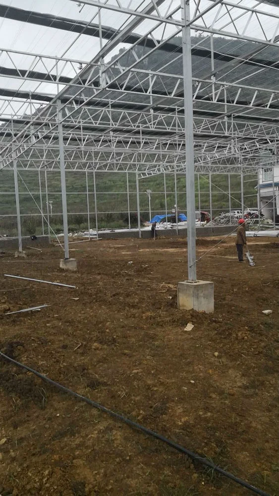 
vegetable fruit agriculture greenhouse farm for sale 