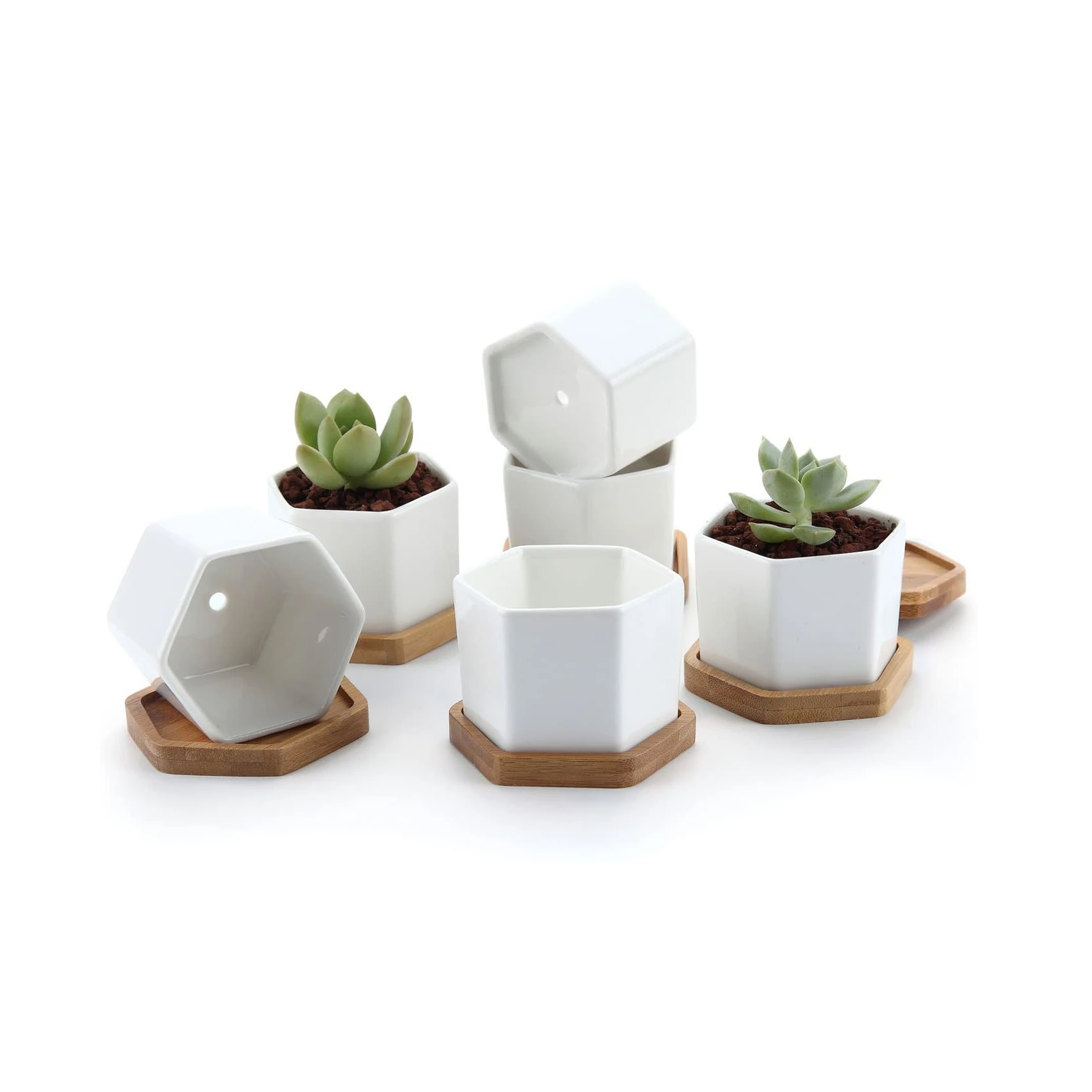 Custom 2 inch small white inndoor hexagon ceramic succulent Planter Plant Pot with bamboo tray