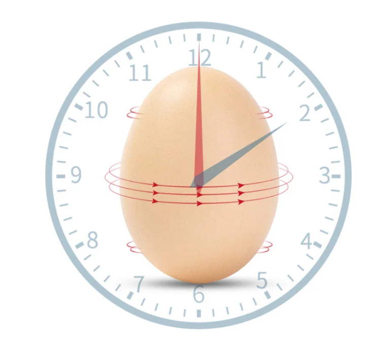 
incubators hatching 48 128 500 eggs fully automatic machine for eggs 