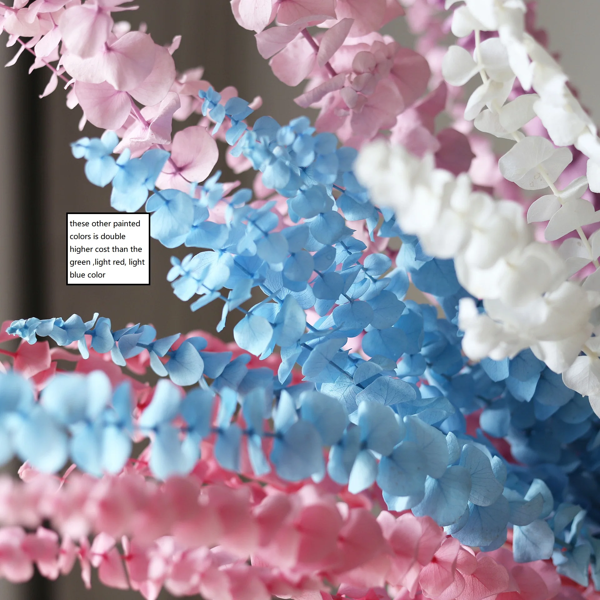 Preserved natural dried Eucalyptus Leaves green round leaf branches flower, Hanging Fragrance Real Plant, flower arrangement