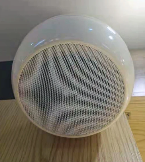 professional audio speaker for indoor installation 100V 5 inch coaxial speaker 20 - 40W hanged plastic speaker