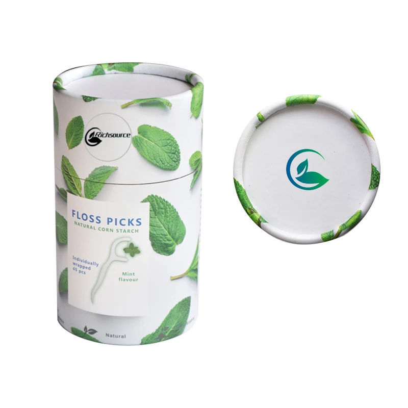 Wholesale Custom Logo Eco-friendly Natural Dental Flosser Biodegradable Dental Floss Picks