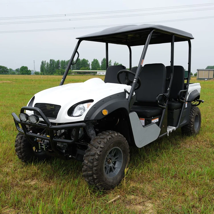 Lvcci Electric UTV Farm 72v Electric UTV 4x4 Adult for Adult