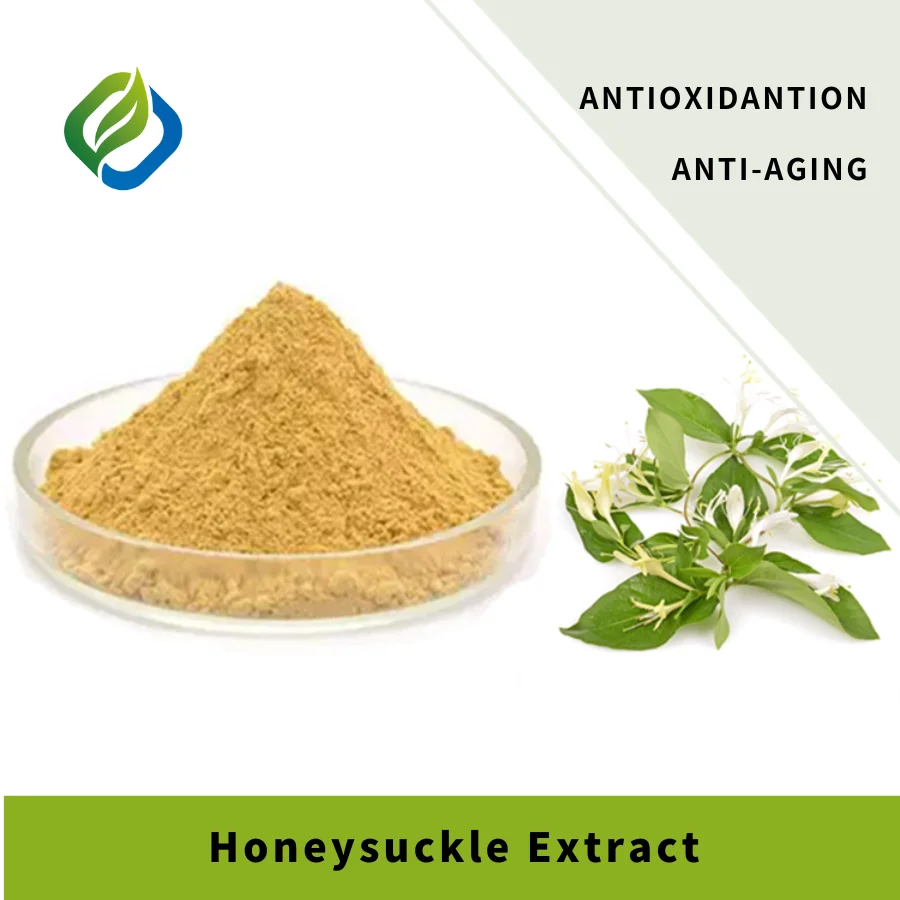 Focuschem Factory Supply Pure Honeysuckle Flower Extract Bulk Chlorogenic Acid Honeysuckle Flower Extract