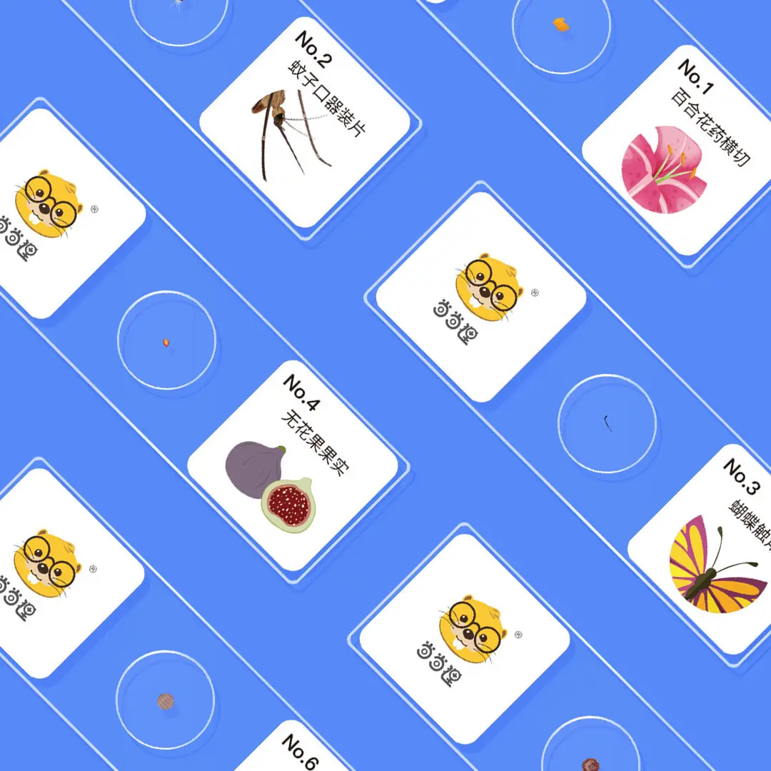 Manufacture Education Learning Microscope Glass Specimen Slides Bulk Kit for Kid Optical Digital Microscope