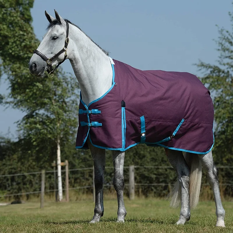Customize Equestrian Supplier High Quality Horse Rugs Winter Waterproof Essential Standard Neck Blanket for Horses