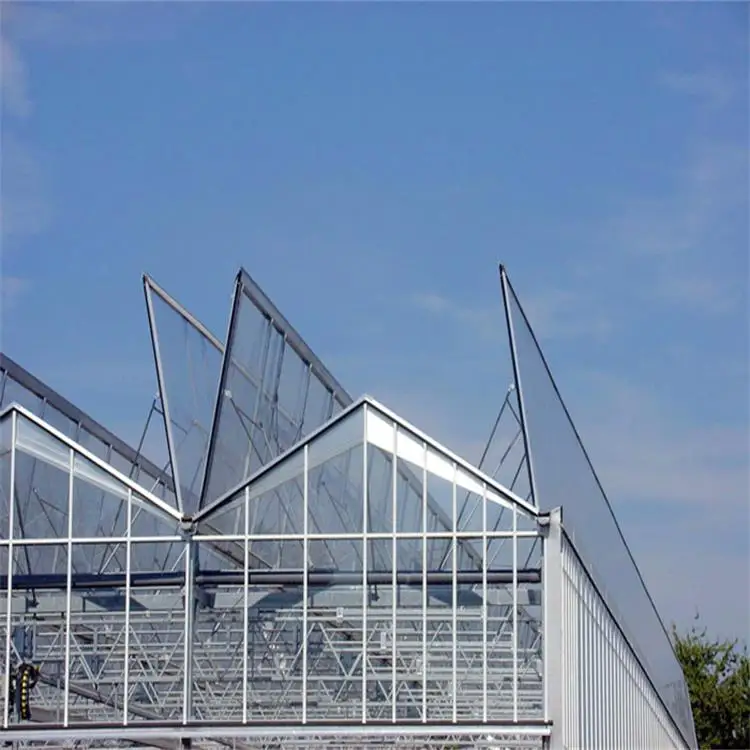 Automatic Glass Greenhouse Strawberry Picking Garden Greenhouse Solar Panel Greenhouse