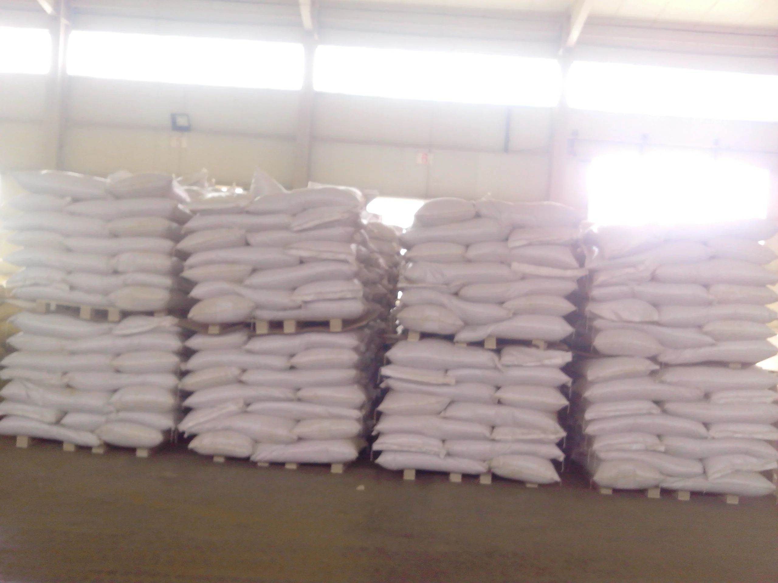 Animal feed grade  high Protein meal Fish meal 65% 60% for fishes