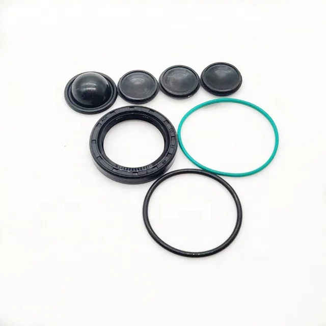 ACK 1920.AR Z22YH Fuel Injection Pump Repair Kit For Citroen
