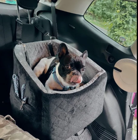 Booster Dog Car Seat Luxury Dog Travel Bed Pet Car seat  with Elevated Cushion & safety belt and dog leash inside