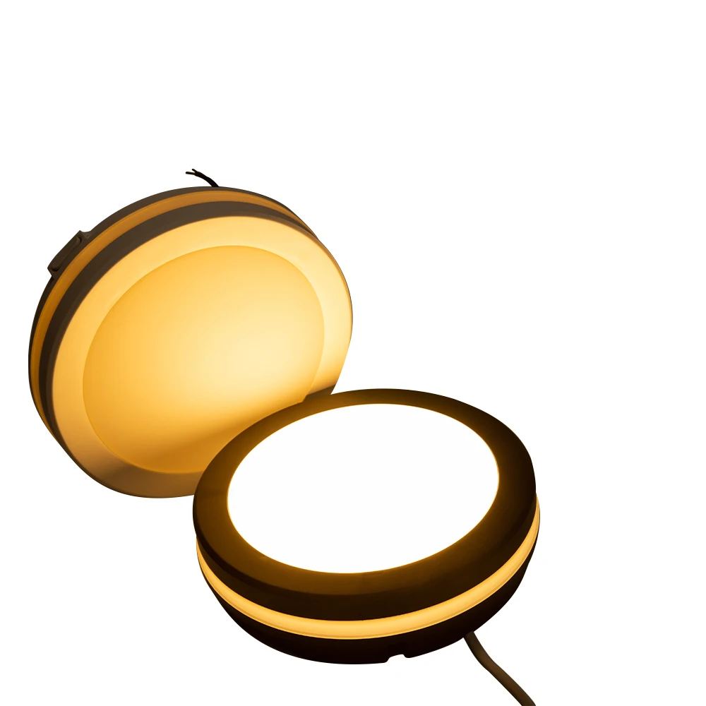 Modern Cct 3000k-4000k-6500k China Round Decoration Living Room Adjustable Vintage Ceiling Light For Indoor