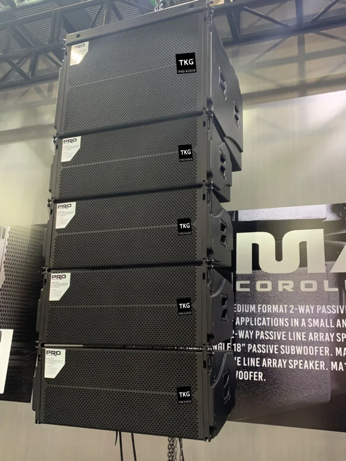 TKG FA210 900W church outdoor sound system dual 10 inch line array