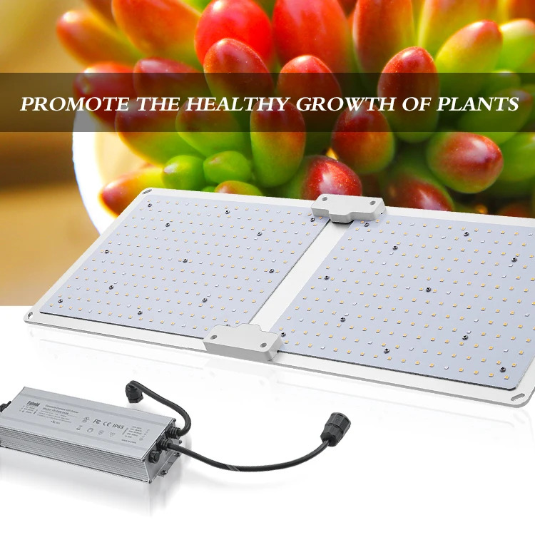 Learnew Full Spectrum commercial horticulture cultivation 100W 200W 400W 600W 301h evo chips Indoor Led Grow Light